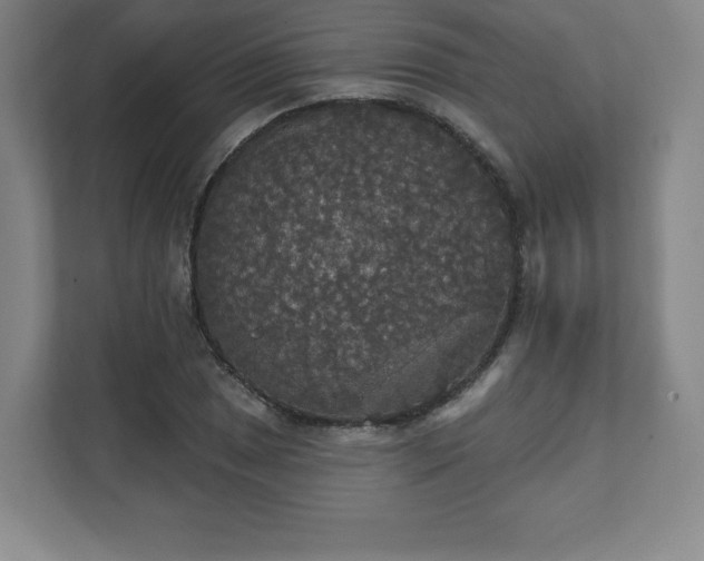 X0000111581025200907231231