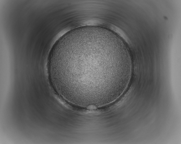X0000111581026200907231231