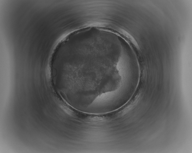 X0000111581027200907231231