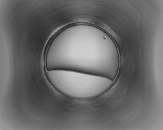 X0000111581028200907231231
