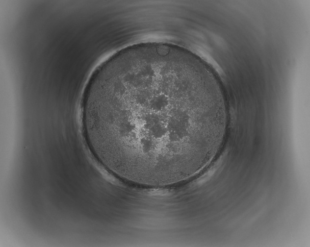 X0000111581029200907231231