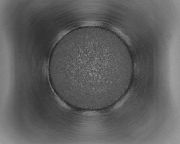 X0000111581033200907231231
