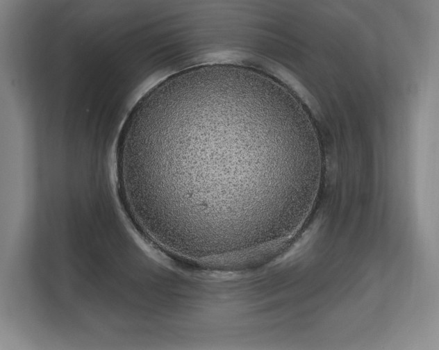 X0000111581034200907231231