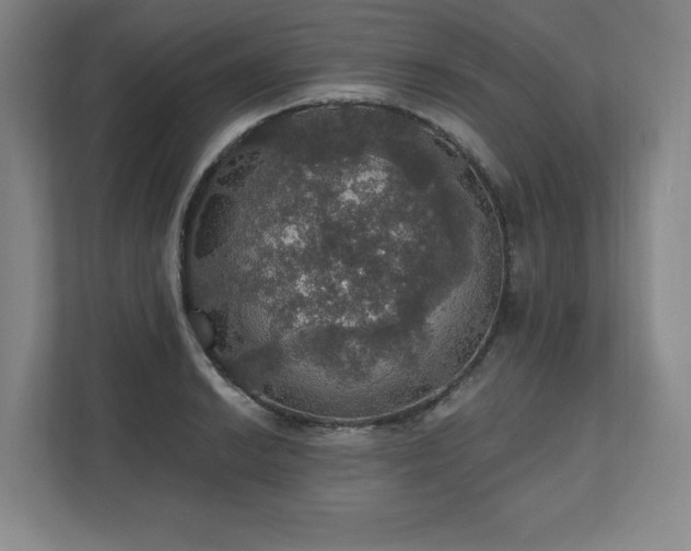 X0000111581038200907231231