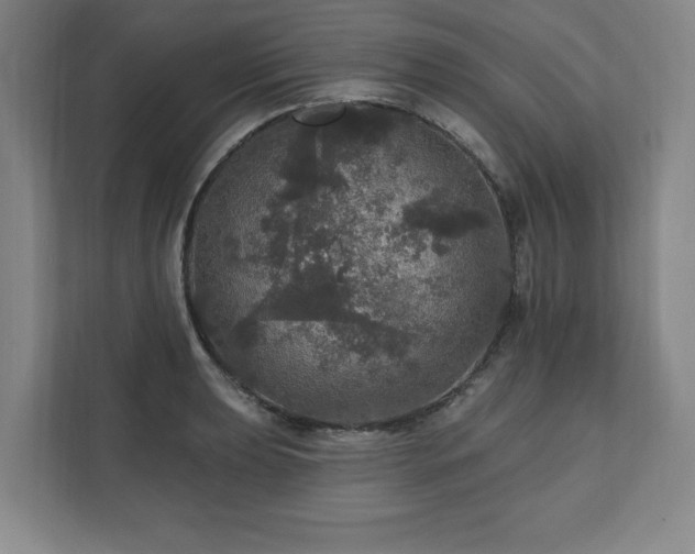 X0000111581039200907231231
