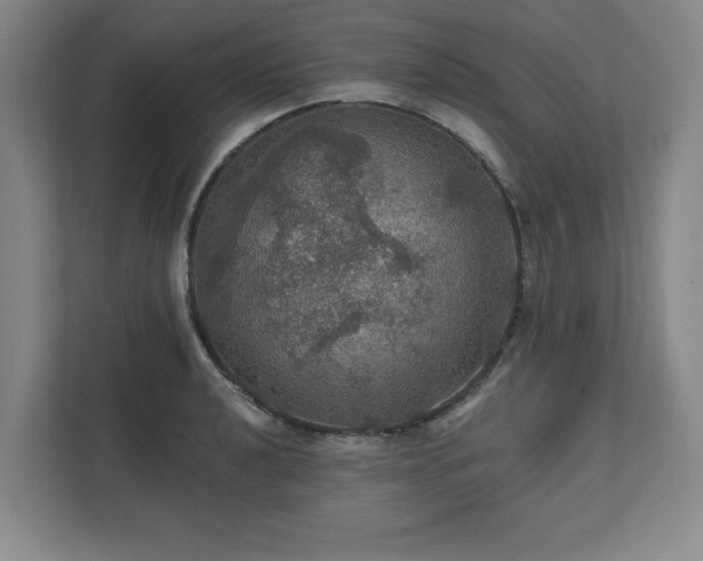 X0000111581040200907231231