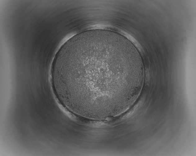 X0000111581042200907231231