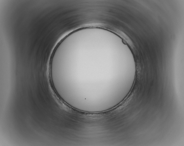 X0000111581044200907231231