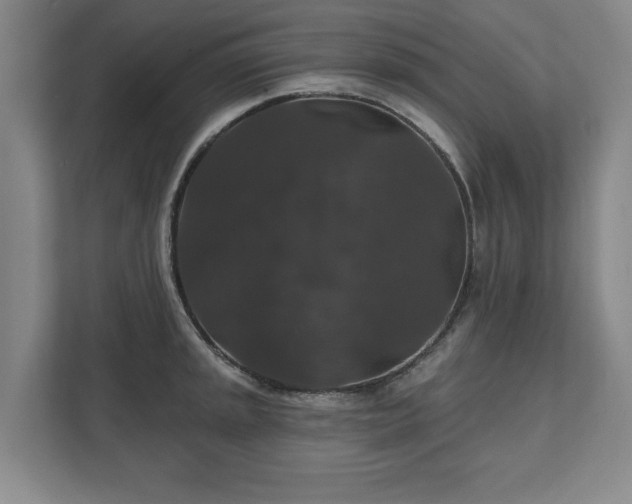 X0000111581045200907231231