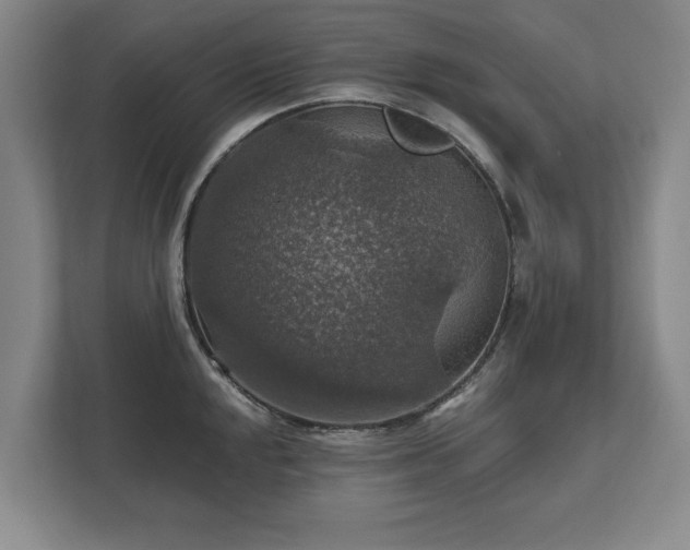 X0000111581048200907231231