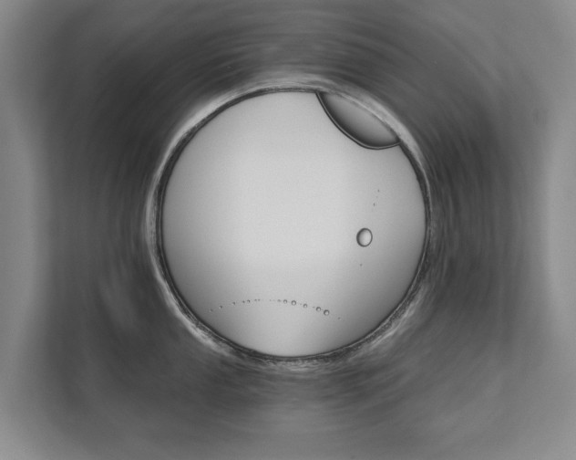 X0000111581053200907231231