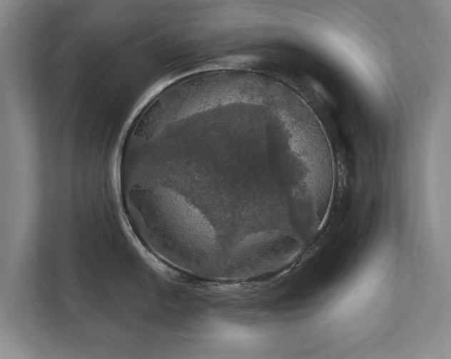 X0000111581054200907231231