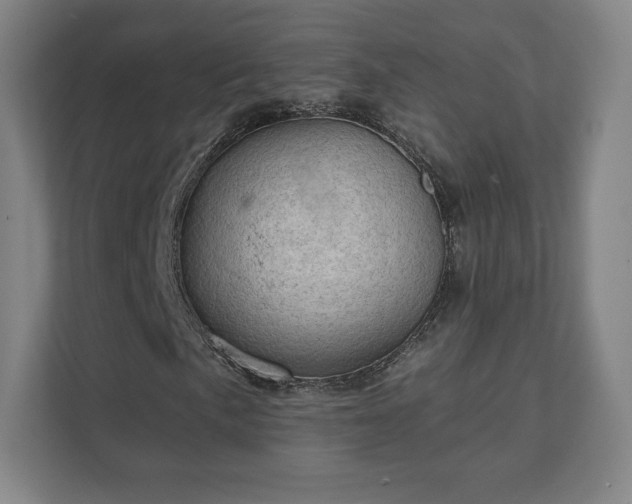 X0000111581057200907231231