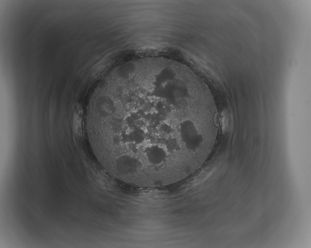 X0000111581059200907231231