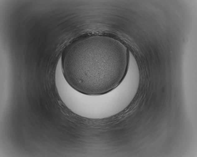 X0000111581060200907231231