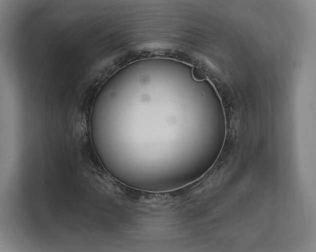 X0000111581062200907231231