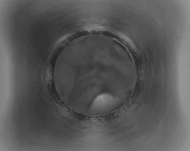 X0000111581063200907231231
