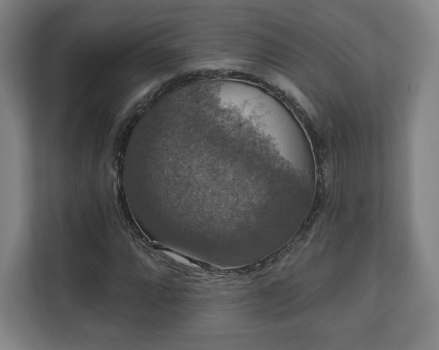 X0000111581064200907231231