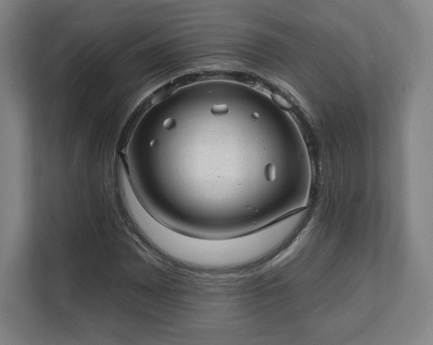 X0000111581065200907231231
