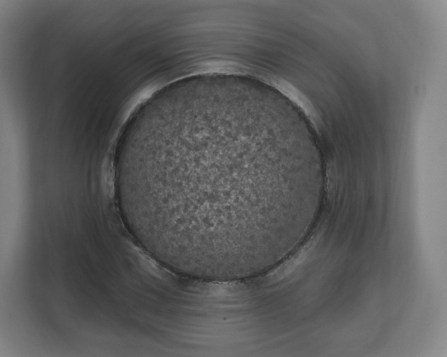 X0000111581067200907231231