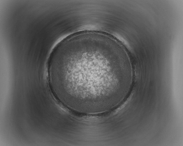 X0000111581070200907231231