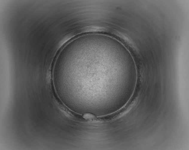 X0000111581073200907231231
