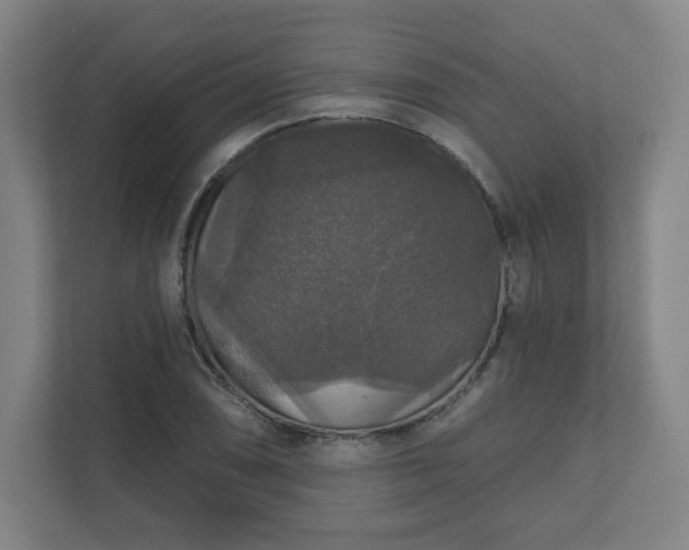 X0000111581074200907231231