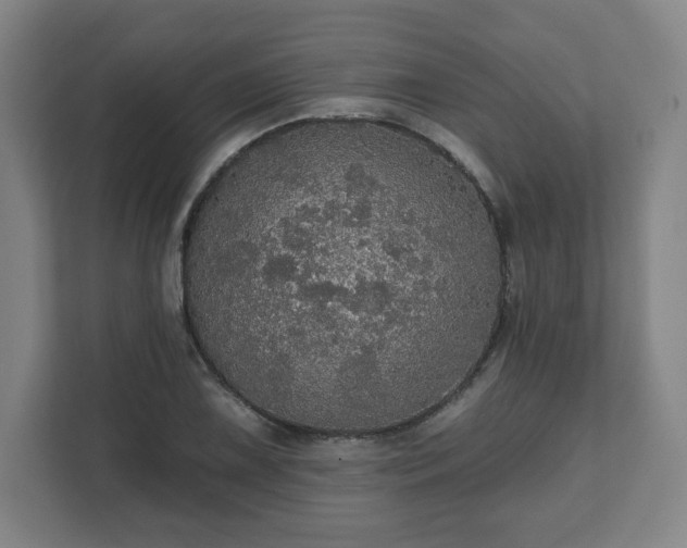 X0000111581075200907231231