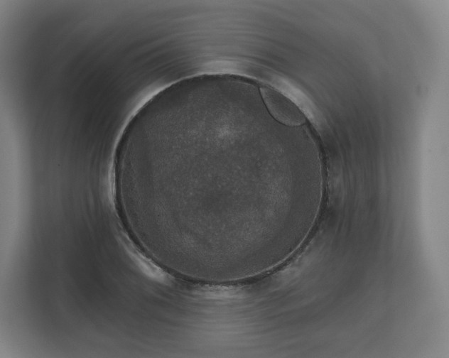 X0000111581076200907231231
