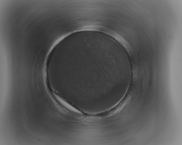 X0000111581077200907231230