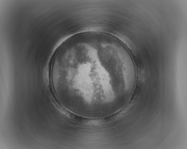 X0000111581078200907231230