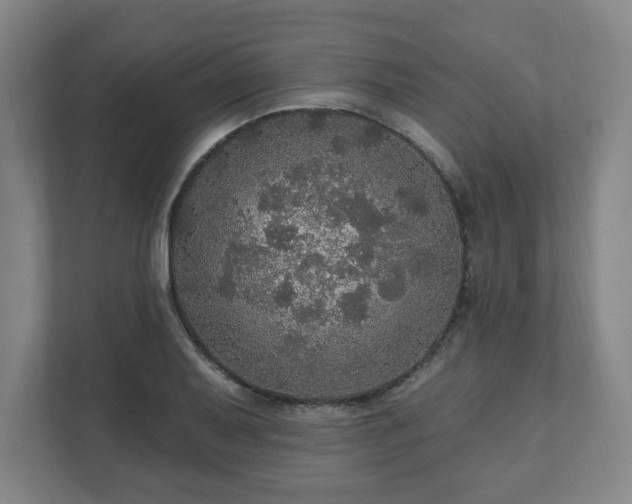 X0000111581079200907231230