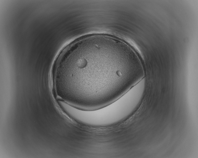 X0000111581080200907231230