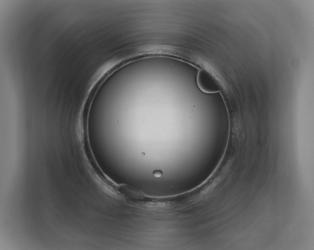 X0000111581082200907231230