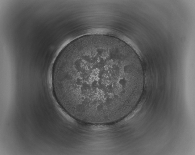 X0000111581083200907231230