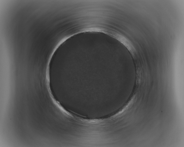 X0000111581084200907231230