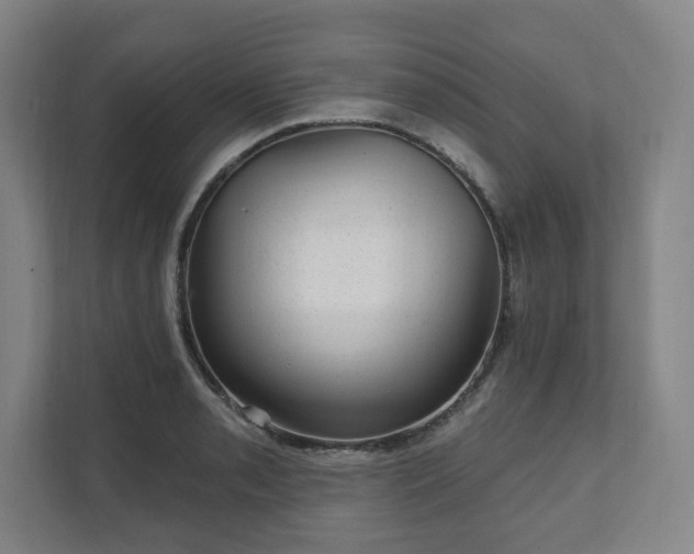 X0000111581085200907231230