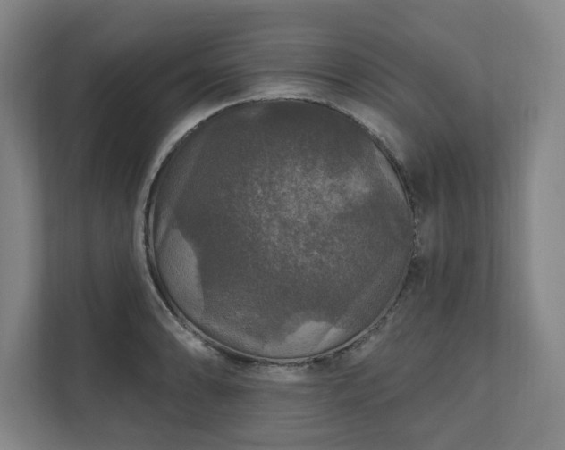 X0000111581086200907231230