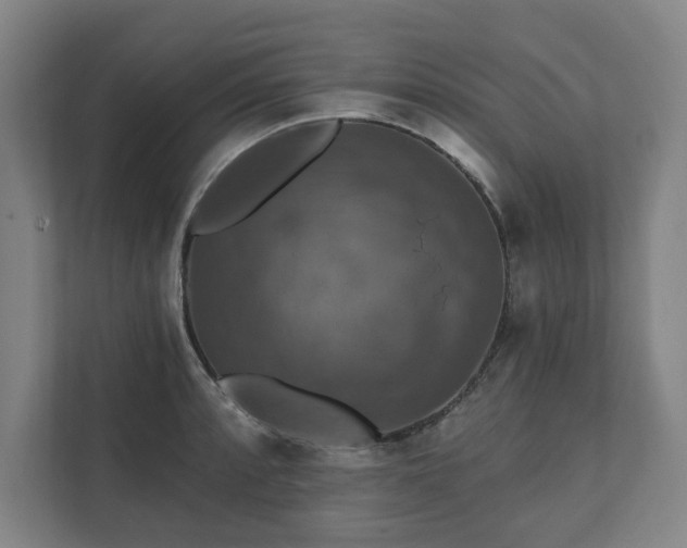 X0000111581088200907231230