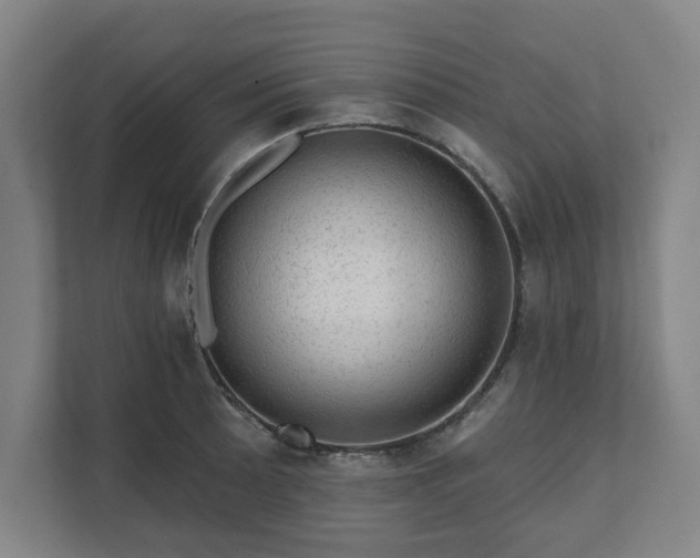 X0000111581089200907231230