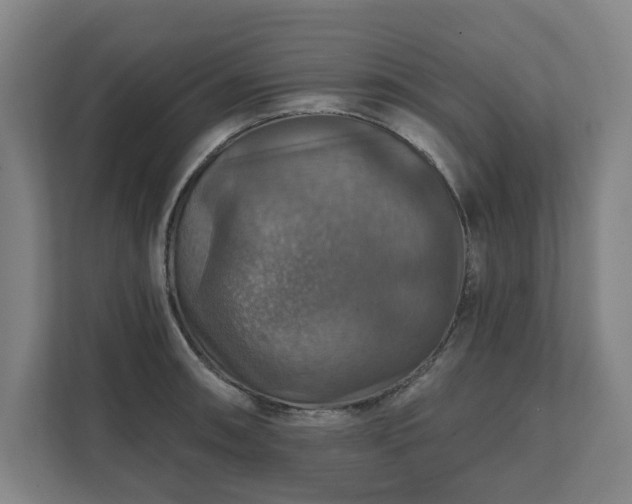 X0000111581090200907231230