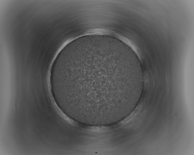 X0000111581091200907231230