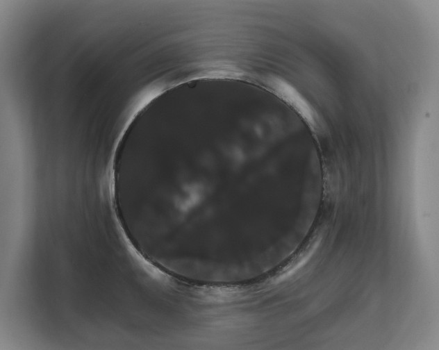 X0000111581095200907231230