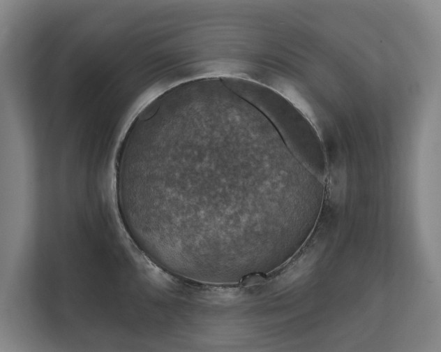 X0000111581096200907231230