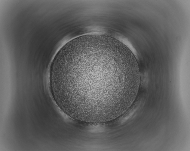 X0000111581099200907231230