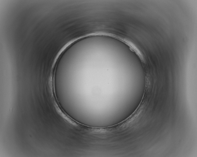 X0000111581100200907231230