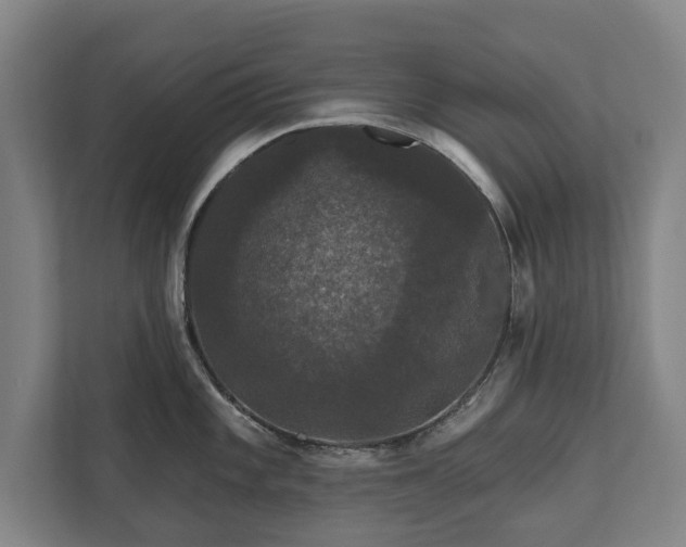 X0000111581101200907231230