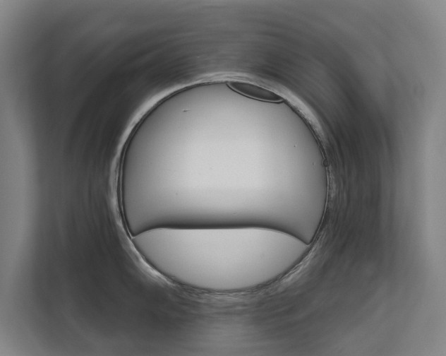 X0000111581102200907231230