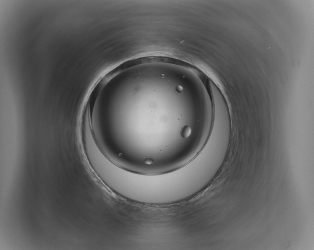 X0000111581104200907231230