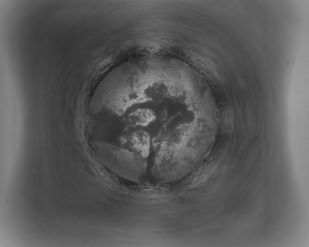 X0000111581105200907231230